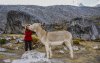 2/kim et petit âne au Pérou.jpg